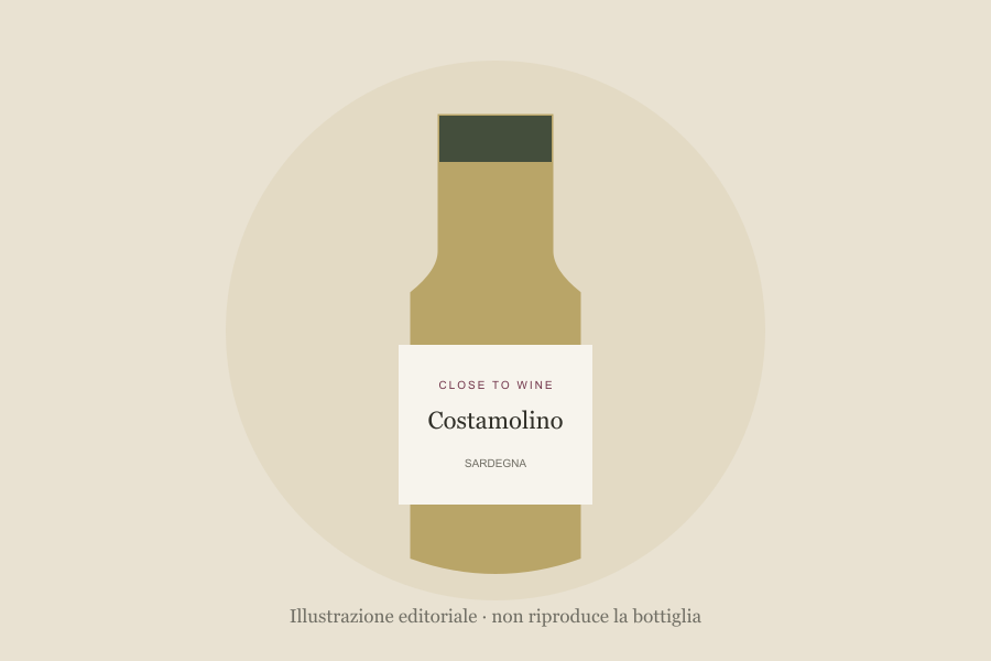 Illustrazione editoriale di bottiglia, non fotografia: Costamolino