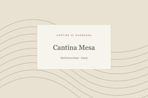Illustrazione editoriale: Cantina Mesa