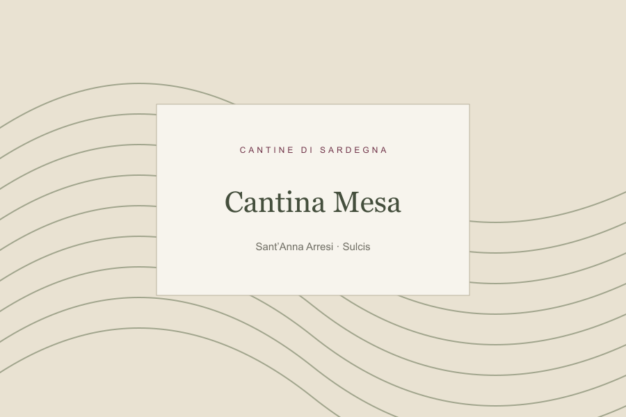 Illustrazione editoriale: Cantina Mesa