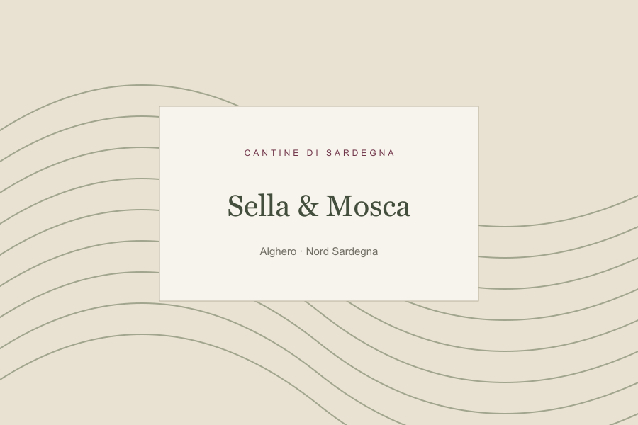 Illustrazione editoriale: Sella & Mosca