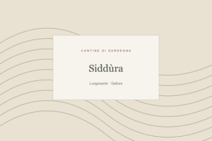 Illustrazione editoriale: Siddùra