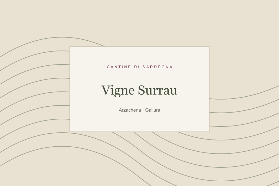 Illustrazione editoriale: Vigne Surrau
